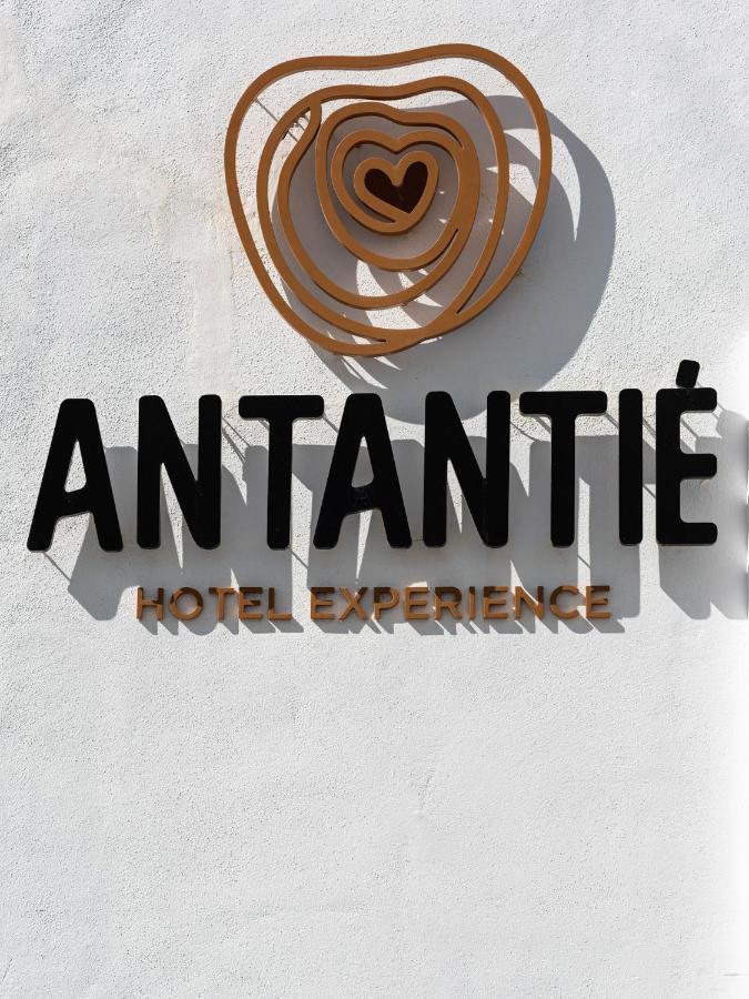 Hotel Antantie Conil De La Frontera Dış mekan fotoğraf